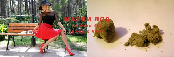 сатива Абинск