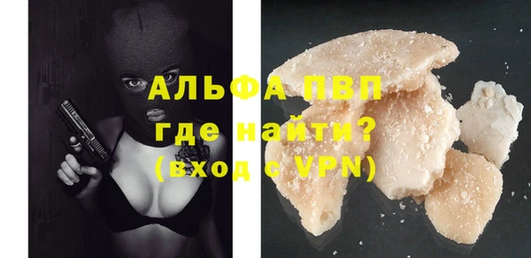 индика Абаза