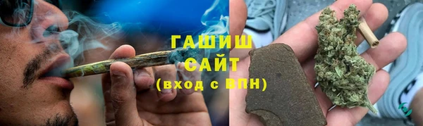 индика Абаза