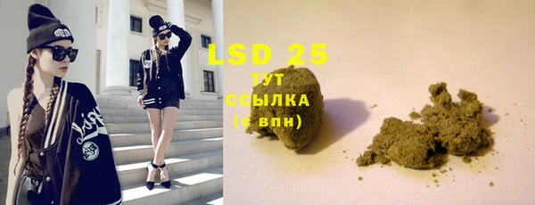 индика Абаза