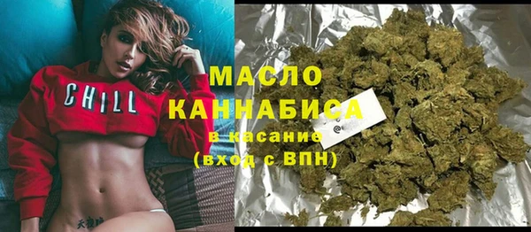 индика Абаза