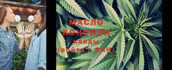 индика Абаза