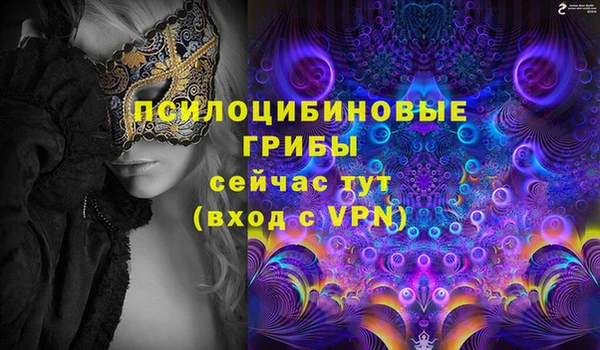 сатива Абинск