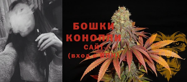 молекула духа Новодвинск