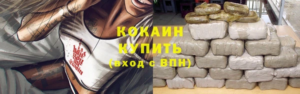 сатива Абинск